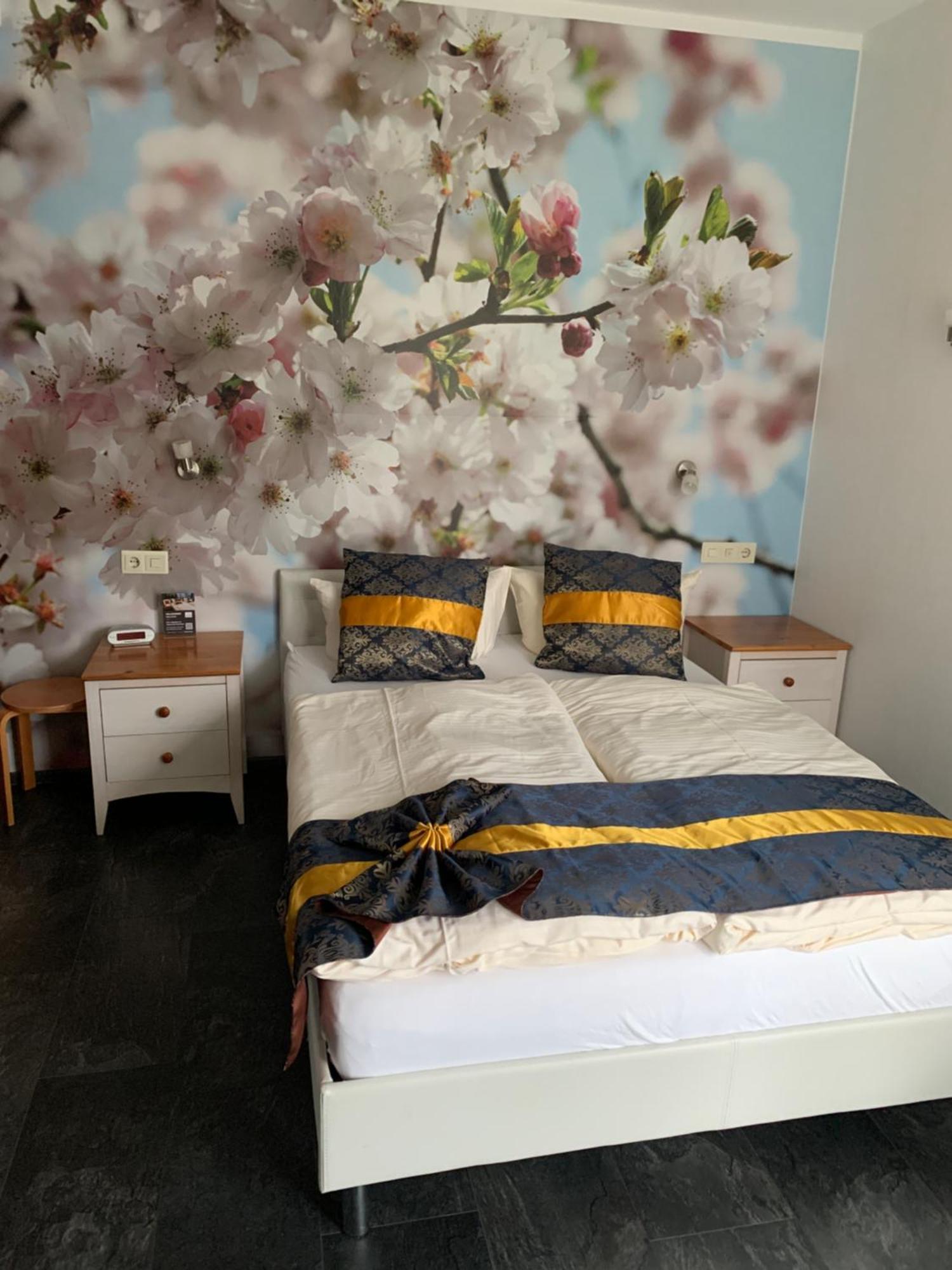 Hotel Paidion 布劳恩拉格 外观 照片