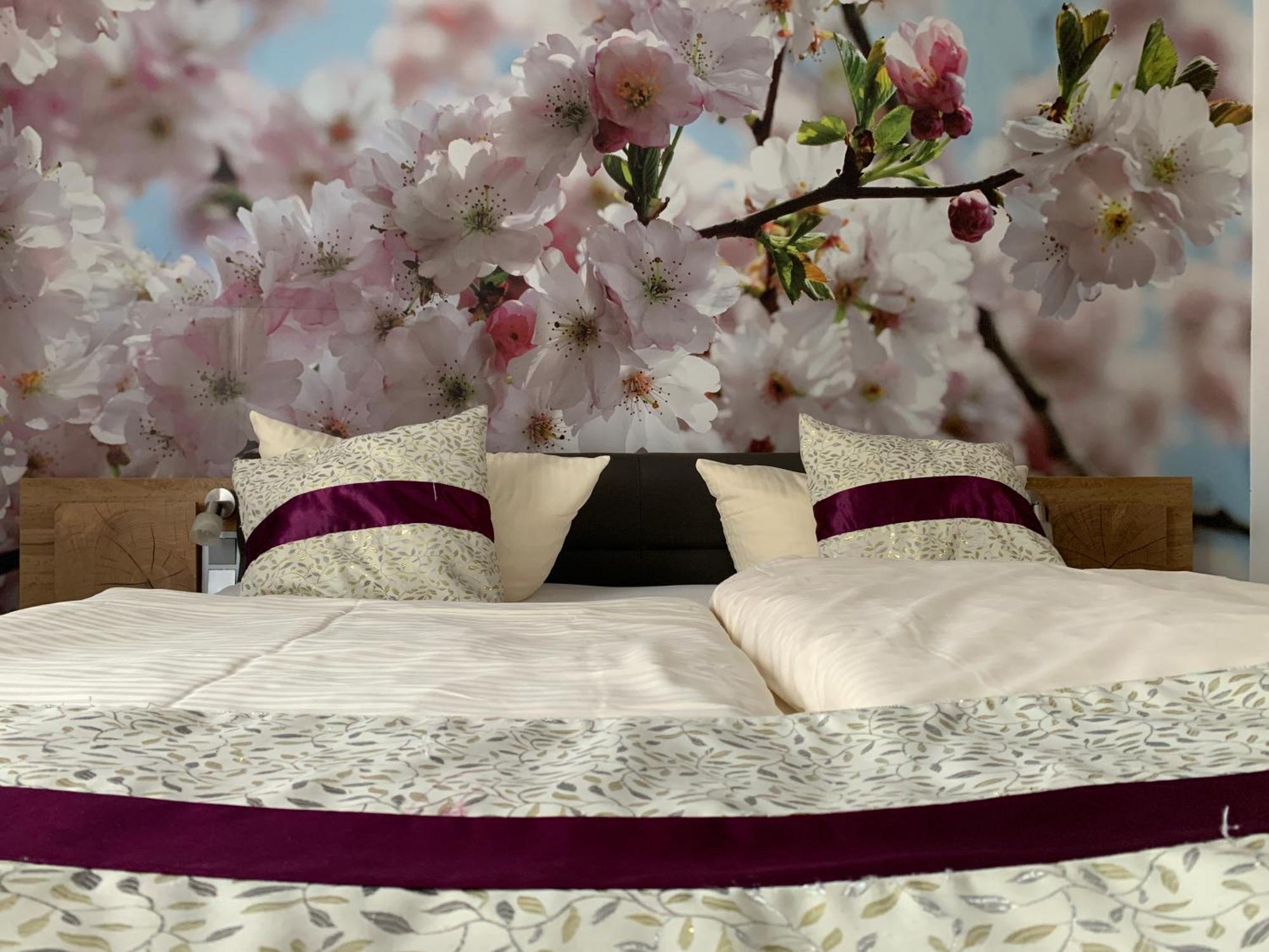 Hotel Paidion 布劳恩拉格 外观 照片
